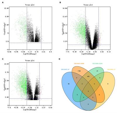 The Novel Key Genes of Non-obstructive Azoospermia Affect Spermatogenesis: Transcriptomic Analysis Based on RNA-Seq and scRNA-Seq Data